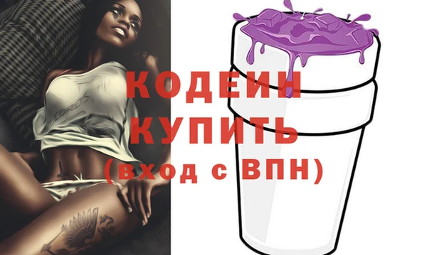 apvp Инта
