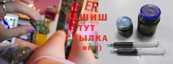 apvp Инта