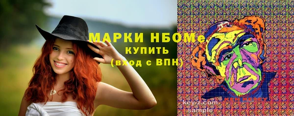 шишки Иннополис