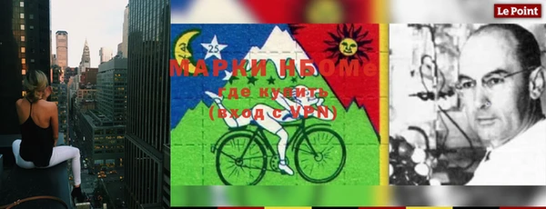 шишки Иннополис